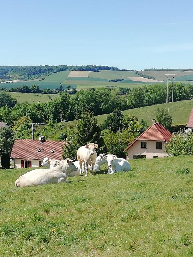 Gite La Bulle Enchantee Bezinghem Exteriér fotografie
